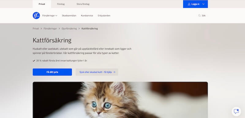 If kattförsäkring